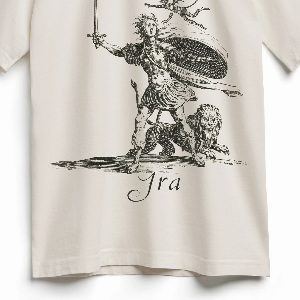IRA (Fury) Heavyweight Tee